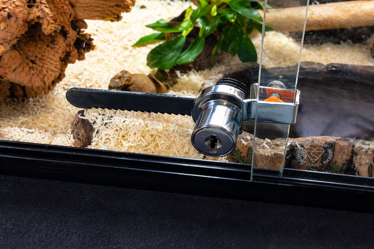 Vivarium glass runnes track